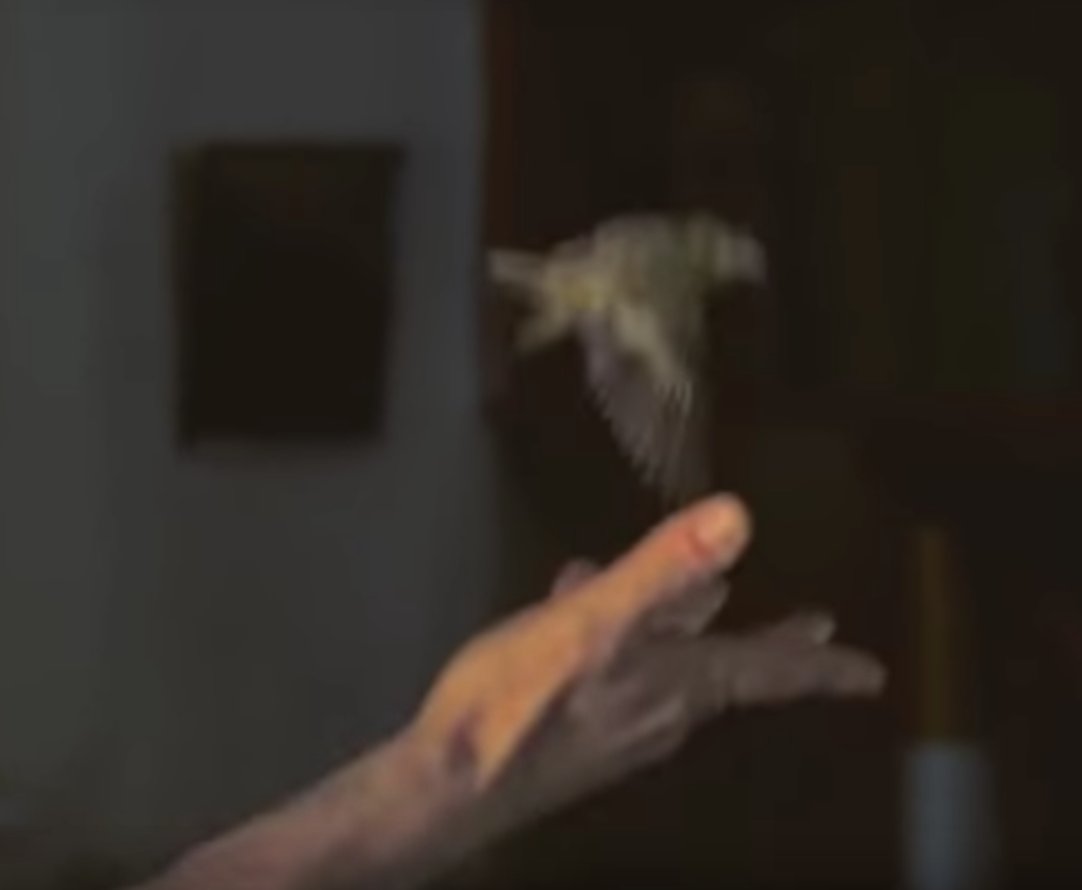 A blurred hand holding a small object